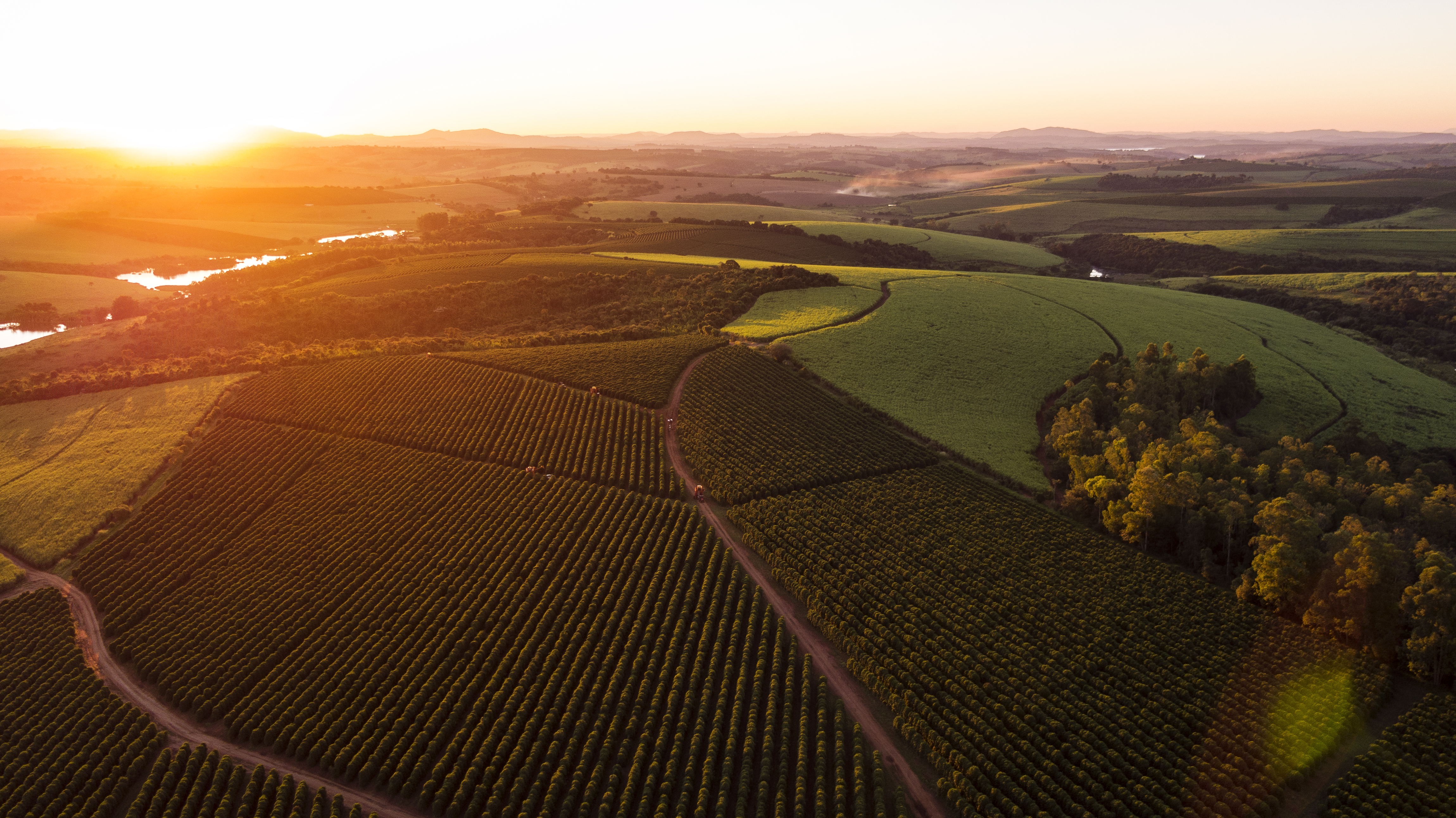 Fazenda Capoeirinha