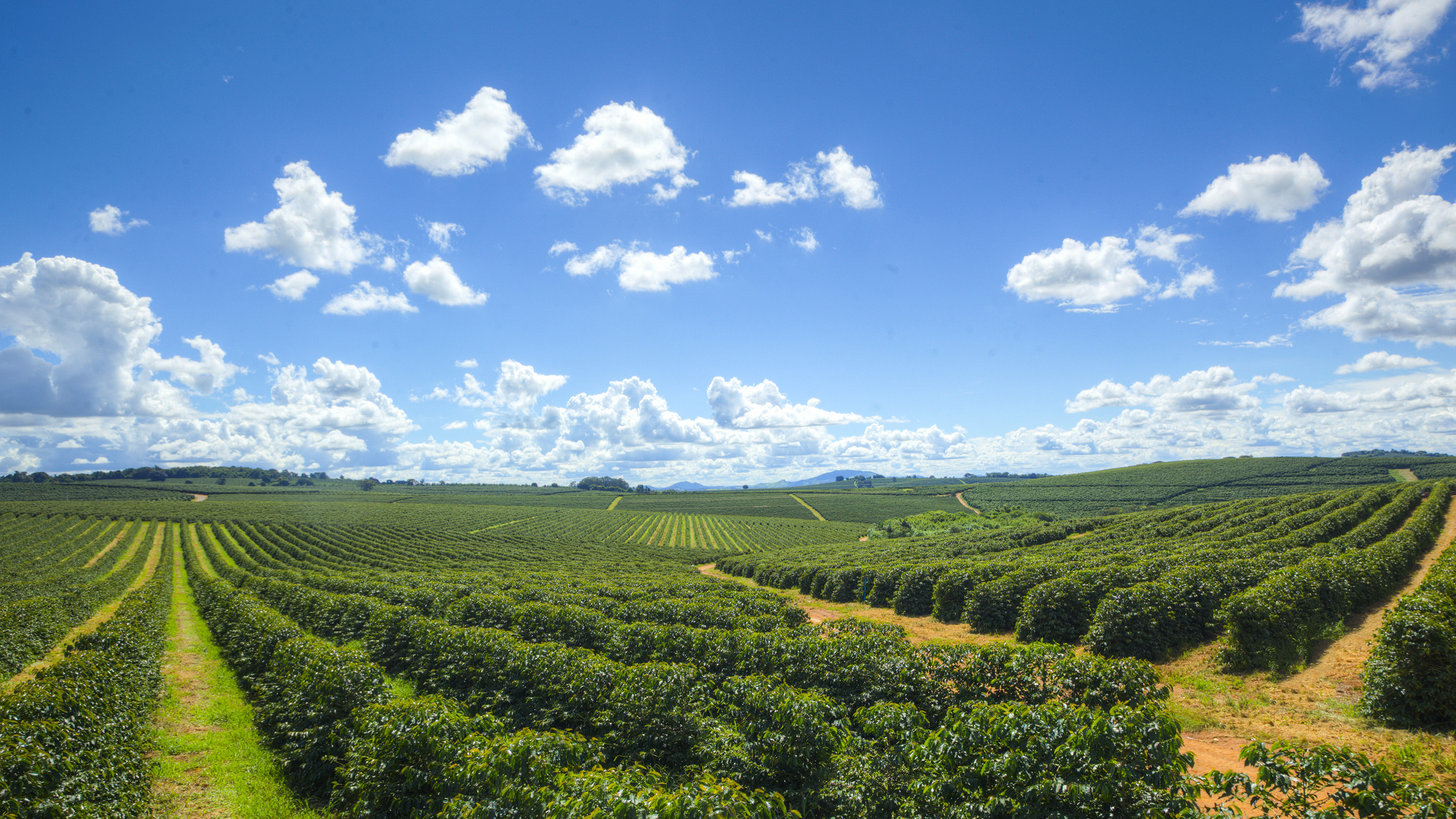 Fazenda Conquista